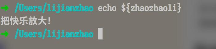 重启zsh,查看刚设置好的变量